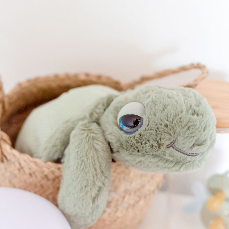 SOLD OUT. AUGUST ARRIVAL. Tyler Turtle Soft Toy 13"/33cm