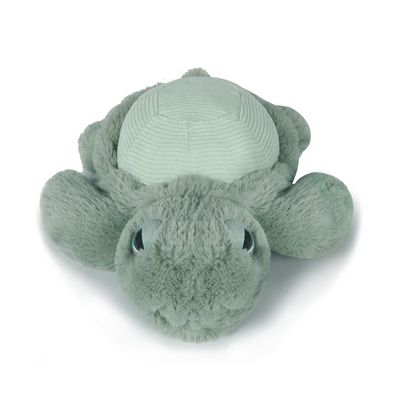 SOLD OUT. AUGUST ARRIVAL Little Tyler Turtle Soft Toy 7.8" / 20cm